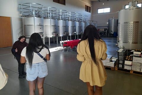 Goditi il tour privato in furgone della costa e del gusto del vino dell'Algarve