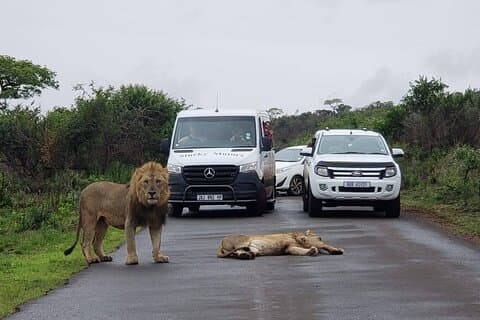 Hluhluwe Imfolozi Park und Isimangaliso Wetlands Park .st Lucia