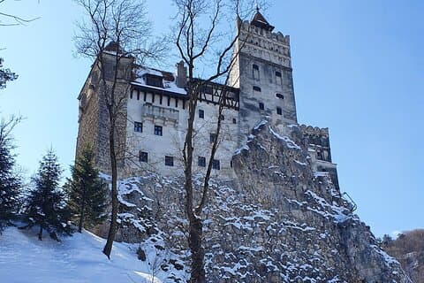 Bran Castle, Bear Sanctuary und Palinca von Brasov mit Tickets