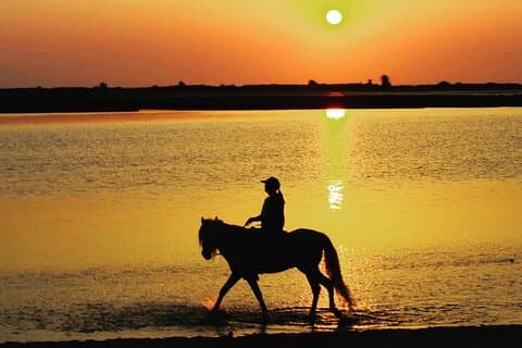 Horseback riding at sunrise 3h