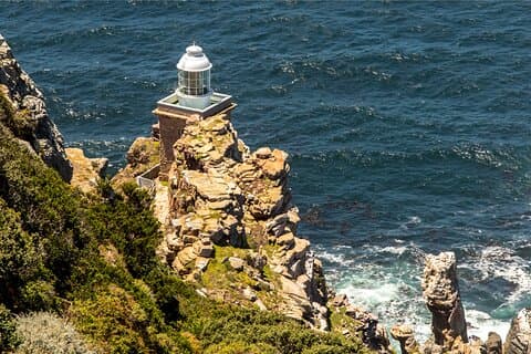 小グループ: ケープ半島 & ワイン ランド ツアー。