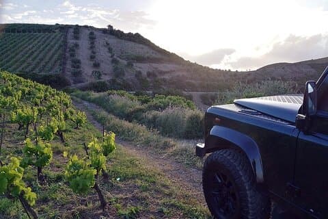 Private Exclusive Manousakis Winery and Vineyard Tour
