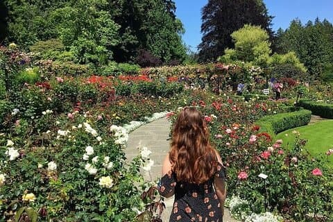 Excursão a pé privada na Baía de Brentwood