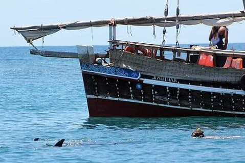 Hoteller i nærheden af Kisite-Mpunguti Dolphin Tour