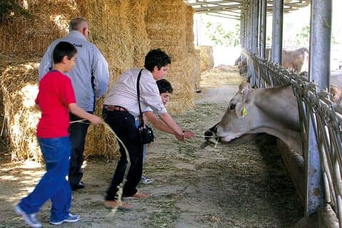 Guided tour from Palermo: Sicilian traditions with farm