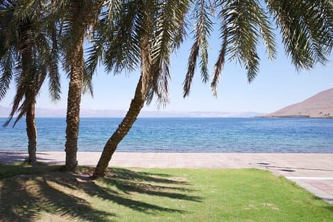 Haql Red Sea Adventure with lunch