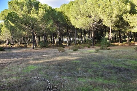 Excursão de bicicleta autoguiada por Doñana saindo de Sevilha