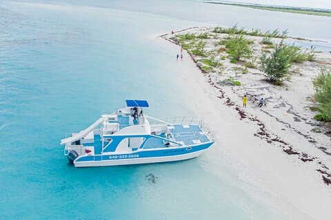 Privat 4-timmars katamarantur från Providenciales i Turks och Caicos
