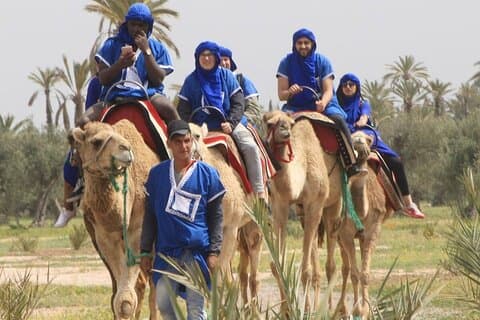 Kameltur vid solnedgången i Palm Grove i Marrakech