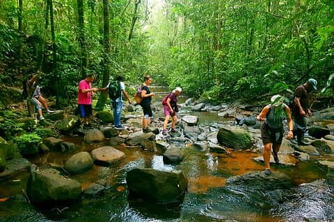 Sri Lanka Sinharaja Rain Forest Tour with Transport