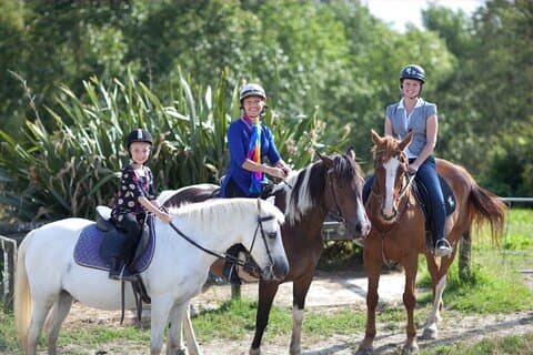 Matakana Art & Riding Experience Privat tur fra Auckland
