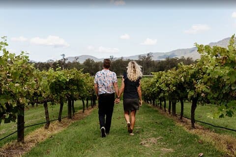 Gold Coast: Hop on Hop off Wine Tasting Tour - Tamborine Mountain