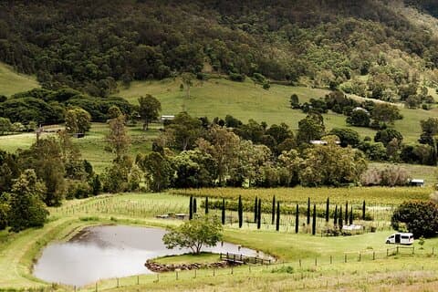 Mount Tamborine Winery Tour med gourmet frokost fra Gold Coast