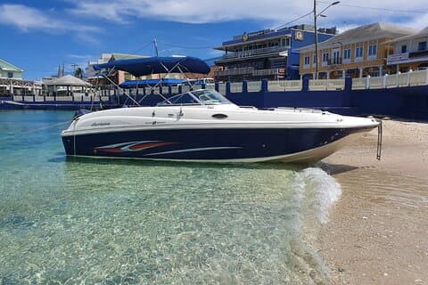 Full-Day Private Stingray City Snorkeling and Starfish Beach Tour