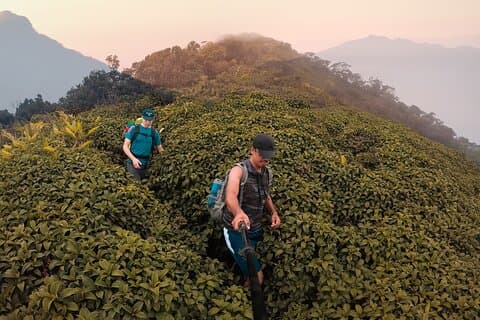 キャンディのホテルからのナックルズ山脈のハイキングとトレッキングの日帰りツアー
