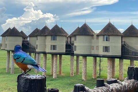Visite privée de 2 jours de Tsavo est et ouest depuis la plage de Diani