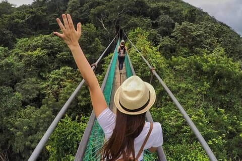 Visit Ixpanpajul: Jungle, Trekking, Hanging Bridges & Canopy - Tour from Flores