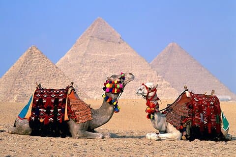 Excursion d'une demi-journée aux pyramides et au sphinx de Gizeh