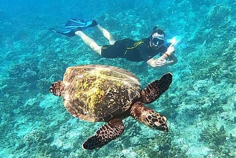 Snorkel en Scooter Submarino - Reef Adventure : Tortugas, Rayas y Tiburones