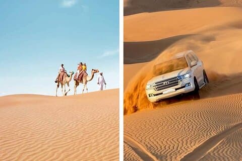 Desert Safari-combinatie: Kamelentocht, zandboarden & bezoek aan de binnenzee