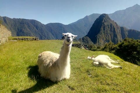 Kort tur i Inca-stien, Sacred Valley, med Rainbow Mountain