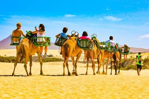 Tour en bicicleta eléctrica por la ciudad con tour en camello incluido dentro de las dunas de Maspalomas