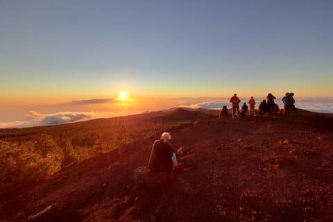 Excursão de meio dia para grupos pequenos no Parque Nacional do Teide com embarque