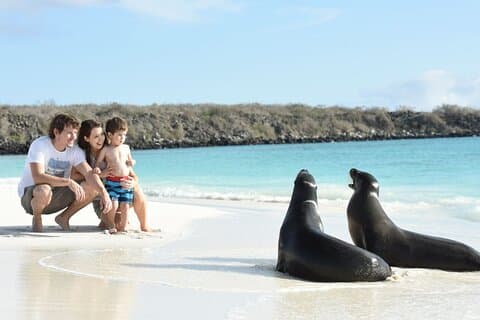 7 dages tur i Quito og Santa Cruz/Galapagos - Best of Ecuador