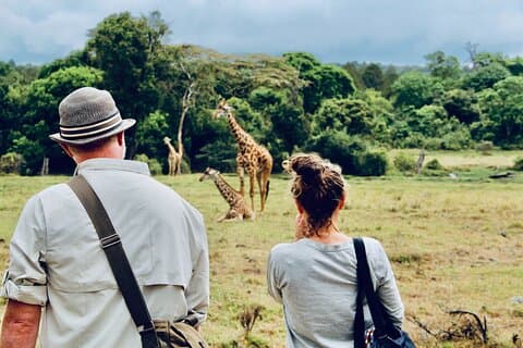 Privater Tagesausflug in den Arusha-Nationalpark mit einer Wandersafari