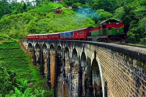 Rundtur i Sri Lanka 11daysby Aaliya Tours-Hotels with H/B