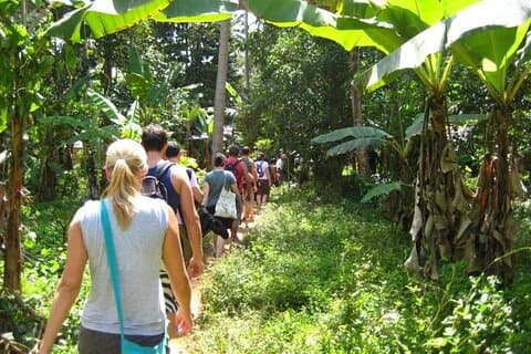 Excursão privada de meio dia à cidade de pedra