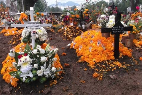 Day of the Dead Tour Nov-1