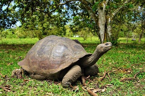 Galapagos Multisport Expedition 8 dage