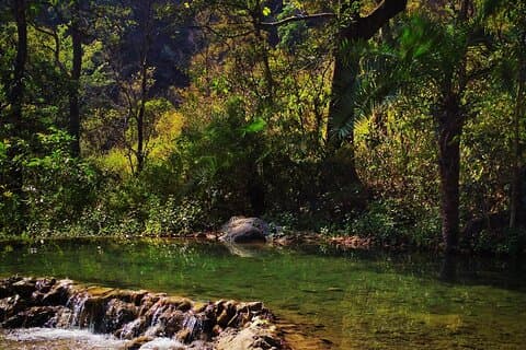 Moderate Himalayan Treks Near Rishikesh From Delhi