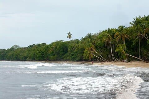 Privater Transfer vom Flughafen San Jose nach Cahuita