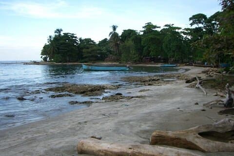 Privater Transfer von Puerto Viejo - Limon zum Flughafen San Jose