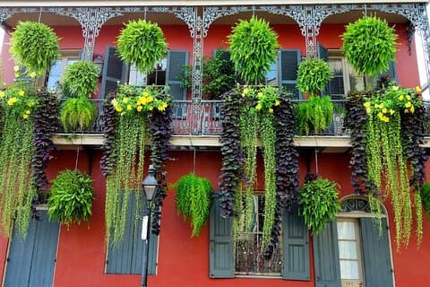 Private New Orleans City Tour with Local Expert Guide