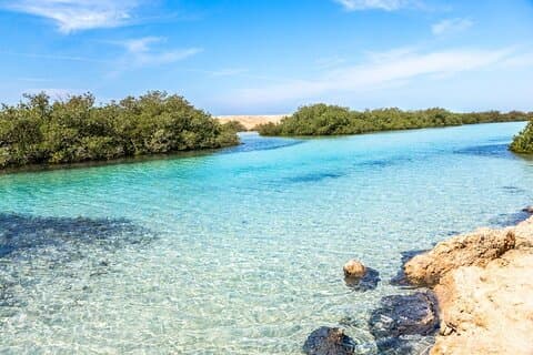 Ras Mohammed & White Island Snorkeltour per boot vanuit Sharm El Sheikh