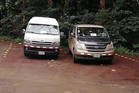 Transfer till Monteverde Reserve & Curicancha Reserve