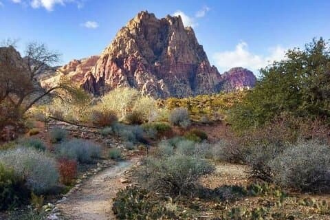 California Desert, Red Rock Views and Seven Magic Mountains