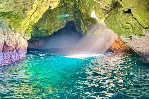 Ile Des Phoques and Maria Island Cruise and Walk Day Tour with Lunch