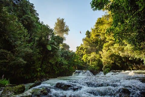 Rotorua Ziplines - Zipline Over Waterfalls - Free Sauna