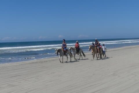 Afro-Mexican Village: Horseback Beach Ride, Crocs & Cliff Diver