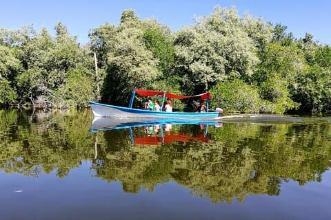 Boat Ride-Gentle Beach Beach Horseback Ride+Lunch-Crocs-Turtles