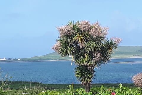 Ring-of-Kerry-Privattour