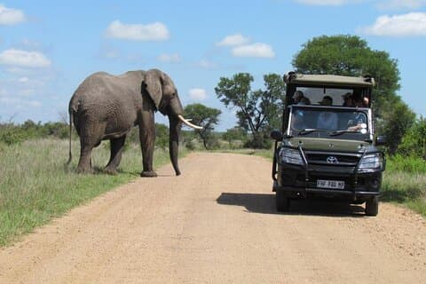 All inclusive 3 Day Kruger Safari From Nelspruit
