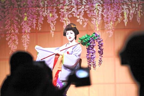 EDOCCO Casa de Chá - Uma Experiência Cultural Japonesa Completa