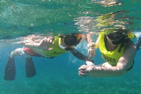 Bluefinn242 Small-Group Snorkeling Experience at Sea Garden