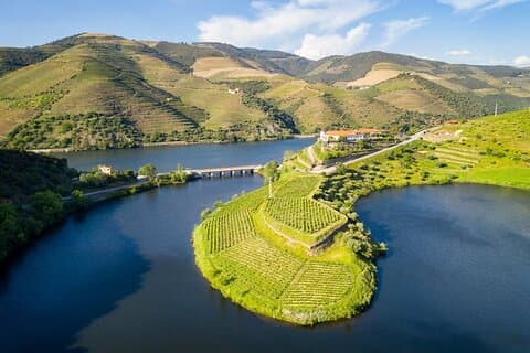 Privat Douro Valley - Senses Experience