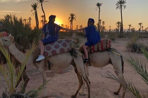 Sunset Camel Ride in Agadir With Hotel Pick up and Drop off